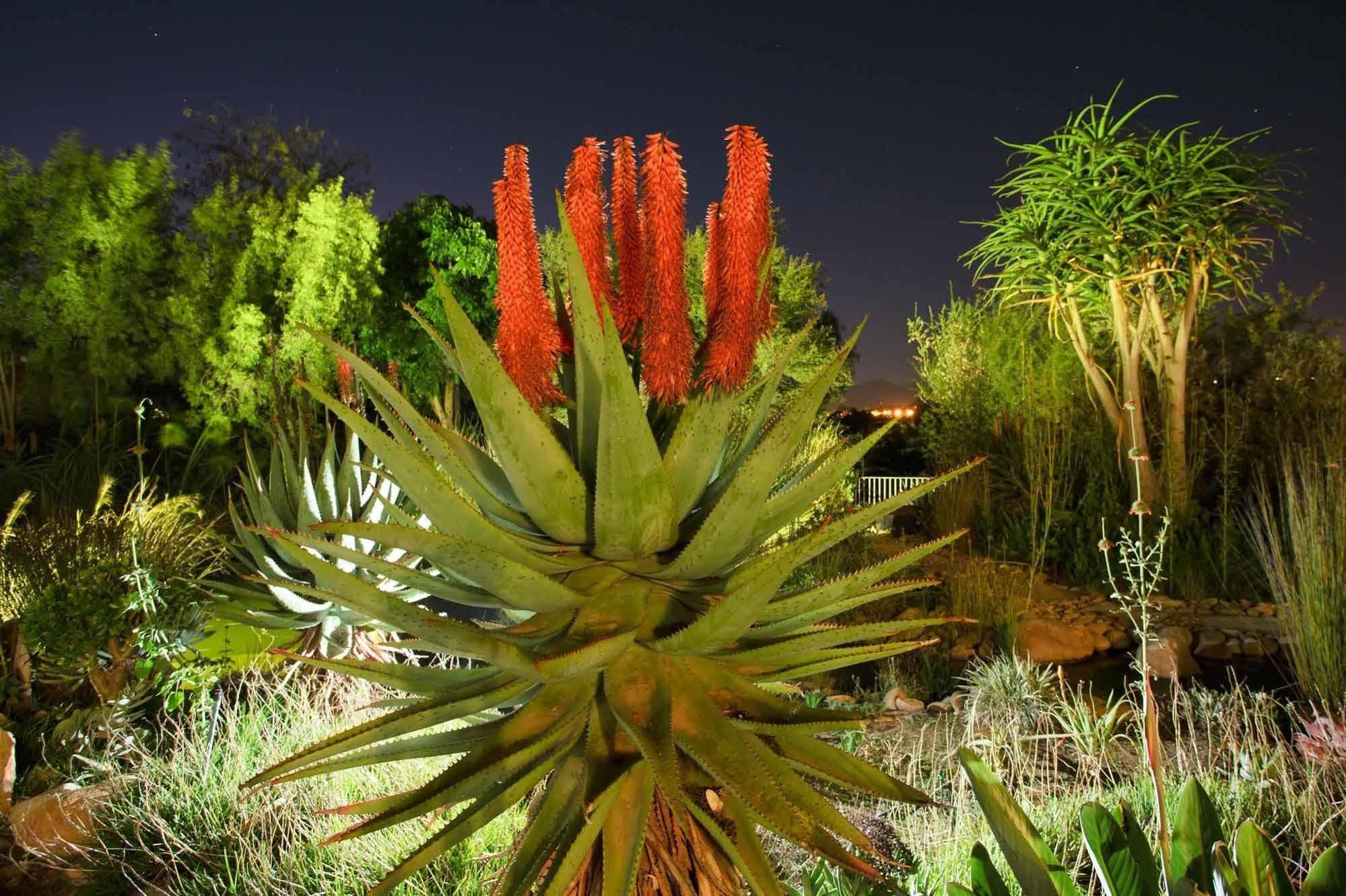 Hotel Aloe Manor Oudtshoorn Exterior foto